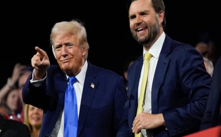 Trump May Replace His Vice President Pick JD Vance For Nikki Haley, Claims Ex-Clinton Adviser