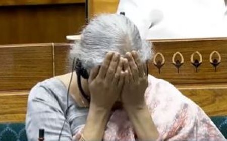 Nirmala Sitharaman Bursts Into Laughter During Rahul Gandhi’s Budget Speech In Parliament