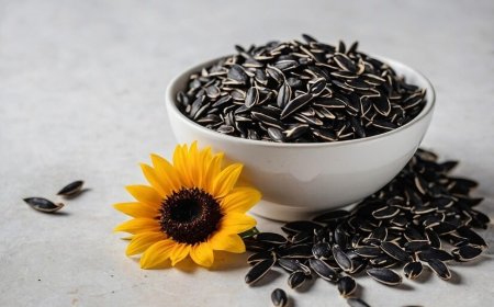 Weight Loss to Heart Health, 6 Reasons Sunflower Seeds Are a Must-Have in Your Diet