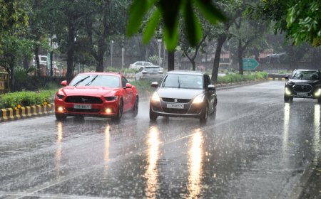 Delhi Temperature Dips After National Capital Receives Heavy Rainfall; Humidity Level Down