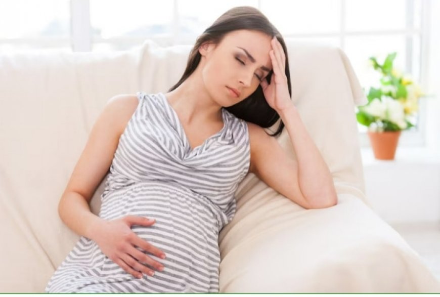 Zika Virus Rise in Pune: How This Infection Affects Pregnant Women? 5 Precautions to Know