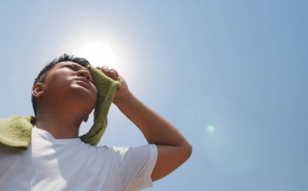 374 Heatstroke Deaths Recorded Till July 27, Says Health Ministry; UP Worst Affected
