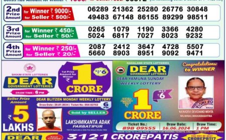 Nagaland Lottery Sambad Result 1PM, 6PM, 8PM For 05.08.2024: Check Dear DWARKA MORNING 1 Crore Lucky Draw Winning Numbers OUT Shortly