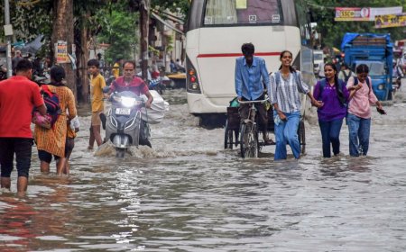 Gujarat Rains: Waterlogging Reported in Several Areas, 7 Stranded People Rescued by NDRF | 10 Points