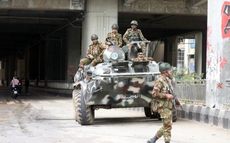 Bangladesh Violence: BSF Issues High Alert Along India-Bangladesh Border