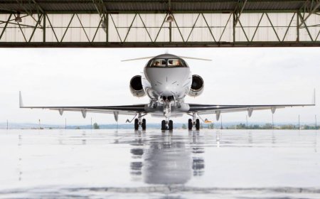 An unexpected state has more private jets than all others