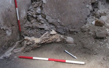 Earthquakes added to Pompeii’s death toll