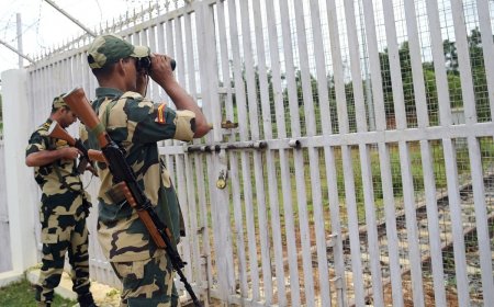 Bangladesh Crisis: ‘Large Bangladeshi Crowd’ Prevented From Entering India Along IB In West Bengal