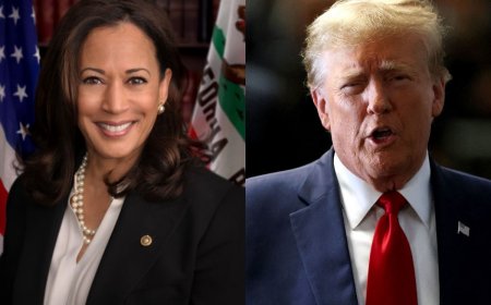 Donald Trump Proposes 3 Presidential Debates In September, Kamala Harris Yet To Confirm