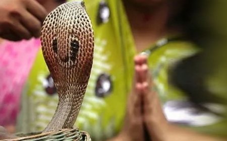 Nag Panchami 2024: Know Muhurat Timing, Puja Rituals And Myths