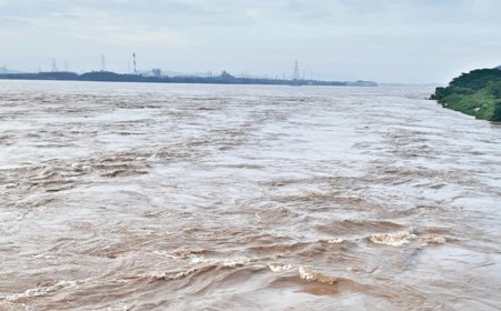 10 Districts In Odisha Put On High Alert As Water Level In Mahanadi River Rises Significantly