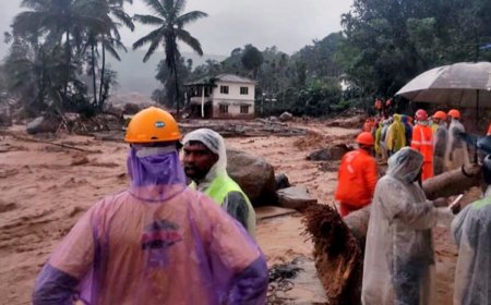 Can Centre Declare Wayanad Landslides A ‘National Disaster’? Govt Sources Cite This UPA-Era Reply: Report