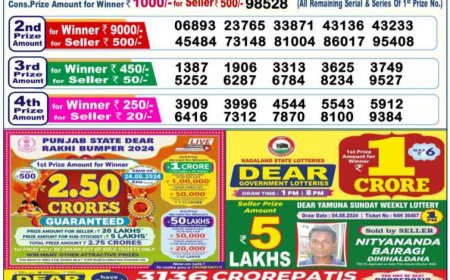 Nagaland State Sambad Lottery Result 1PM For 10-08-2024 LIVE: Check Dear NARMADA EVENING Rs. 1 Crore Lucky Draw Winning Numbers Soon