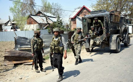 Jammu And Kashmir: Encounter Breaks Out At Ahlan Gagarmandu Area of Anantnag