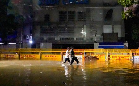 Delhi Weather Update: IMD Predicts More Rainfall in National Capital, Noida | Check Full Forecast Here