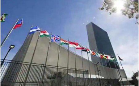 Global Youth Unemployment Rate Falls to 15-Year Low, Says UN Report