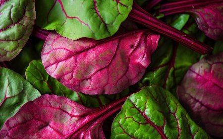 Weight Loss With Red Spinach: 5 Ways to Incorporate Amarnath Saag Into Your Daily Meals