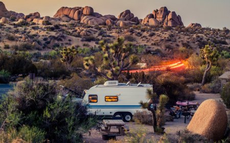 Three national park visitors were charged in slingshot and paint gun spree