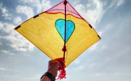 Kite Flying on Independence Day: Ideal Kite Colours Based on Your Zodiac Sign