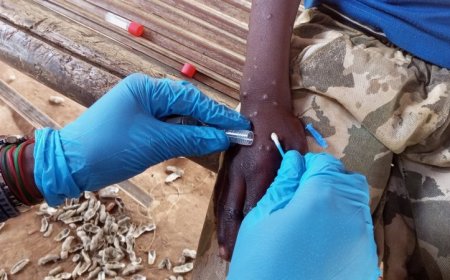 Why mpox is a global health emergency — again