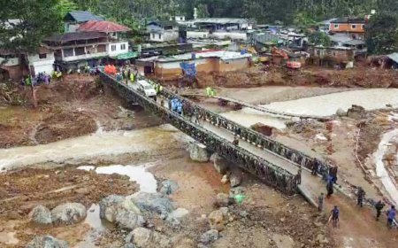 ‘Disaster-Hit Chooralmala Now Safe For Habitation But…’: Top Geo Scientist After Inspecting Wayanad Landslides