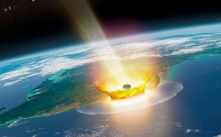 The asteroid that may have killed the dinosaurs came from beyond Jupiter