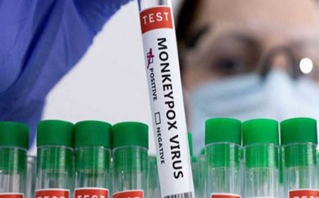 Sweden Confirms First Case Of Deadly Clade I Variant Of Mpox Strain Circulating In Africa