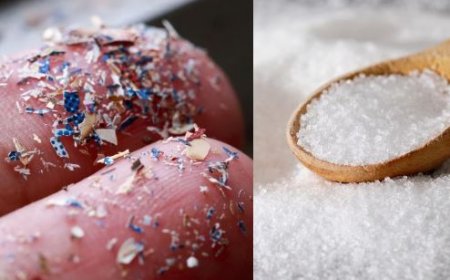 Microplastics In All Salt & Sugar Brands Of India, Claims Study