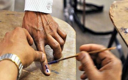 Jammu and Kashmir Assembly Elections 2024: Check JnK State Assembly Constituencies List