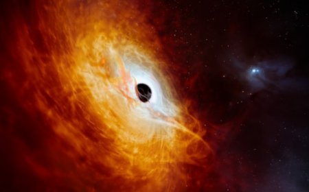 A distant quasar may be zapping all galaxies around itself