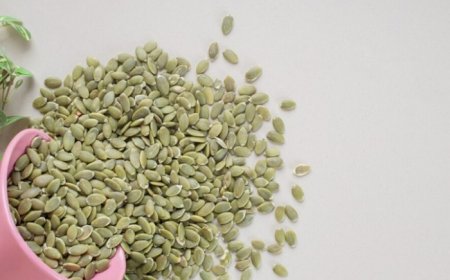 Weight Loss Diet: Sunflower Seeds to Pumpkin Seeds, Try These 5 Varieties of Mini Delights to Shed Kilos