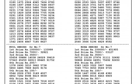 Bodoland Lottery Result Today(17-08-2024): Assam State Lucky Draw Lucky(DECLARED); Check Winners List, Ticket Number