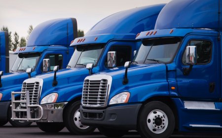 Giant shipping company liquidates after bankruptcy sale fails