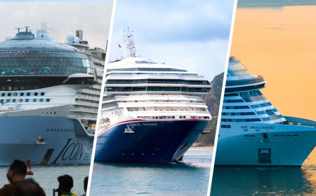 How to pick among Carnival, Royal Caribbean and MSC Cruises