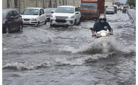 IMD Warns of More Rainfall In Odisha Till August 20; State Alerts All District Collectors