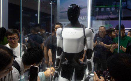 Tesla will pay you a startling hourly rate to train its Optimus robot