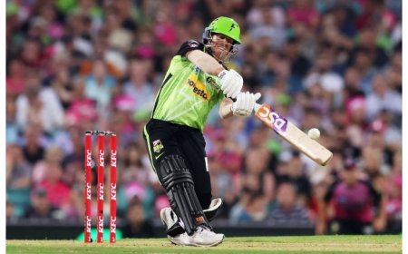 BBL: David Warner Signs Two-Year Deal With Sydney Thunder, Steve Smith To Play For Sixers