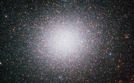 The nearest midsized black hole might instead be a horde of lightweights