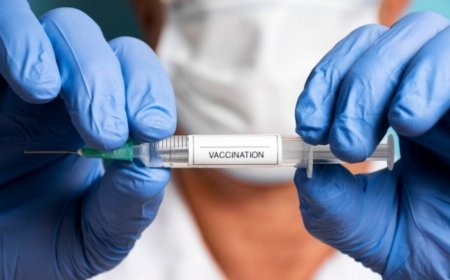 Dengue Vaccine in India: 5 Things to Know About The Vaccination Against Mosquito Borne Disease