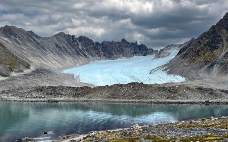 ‘Turning to Stone’ paints rocks as storytellers and mentors