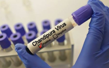 Chandipura Virus: 28 Children Died In Gujarat Since July; 61 Cases Detected So Far
