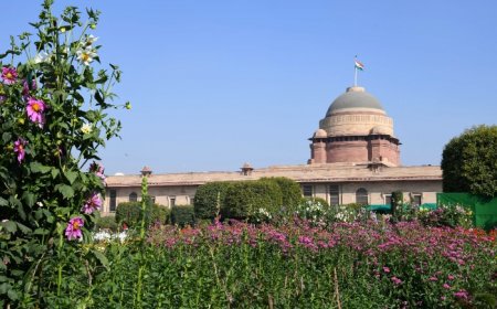 Amrit Udyan Opens For Public: Check Timings, How to Book Slot, Nearest Metro, Prohibited Items