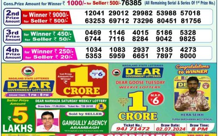 Nagaland State Sambad Lottery Result 22.08.2024 For 6PM, 8PM LIVE: Check Winning Ticket Number For Dear MAHANADI MORNING Rs 1 Crore Lucky Draw