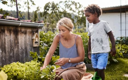 Can scientists make fruits and veggies resilient to climate change?