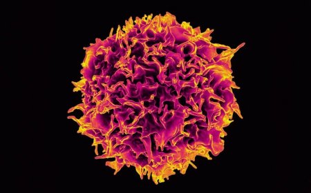 A newly approved ‘living drug’ could save more cancer patients’ lives