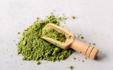 Weight Loss with Moringa Powder: 5 Reasons Why This Superfood Should Be Part Of Your Meal