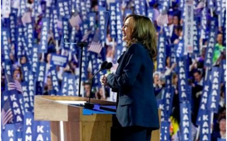 My Mother Was A Brown Woman, She Taught Me To Be Fearless: Kamala Harris During Her Biggest DNC Speech