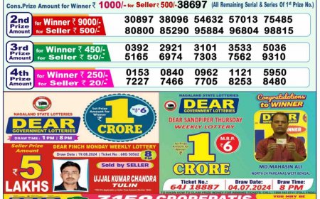 Nagaland Lottery Sambad Result 24.08.2024 LIVE: DEAR NARMADA MORNING 1 PM Result Winning Number (DECLARED); Check Donner Evening, Stork Night Results