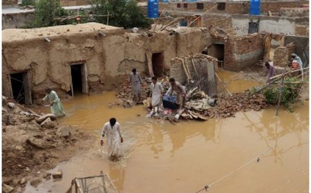 Pakistan Rain Havoc: 22 Including Children Dead In Balochistan Torrential Showers