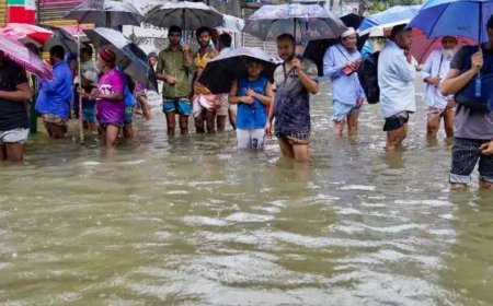 Janmashtami Weather Update: IMD Predicts Intense Rains in These States | Top Updates